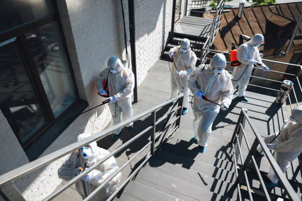 Best Forensic Mold Investigation  in Junction City, OR