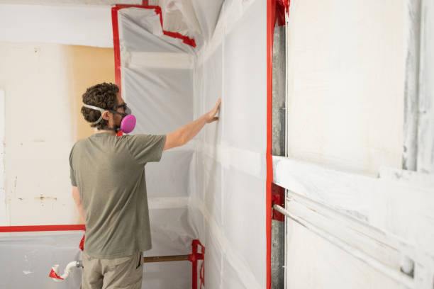 Best Air Quality Testing for Mold Spores  in Junction City, OR