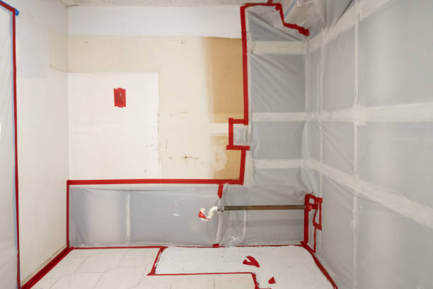 Best Commercial Mold Inspection  in Junction City, OR