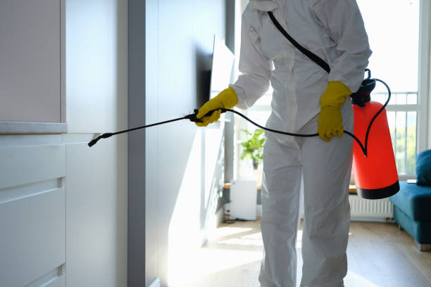 Best Emergency Mold Remediation  in Junction City, OR