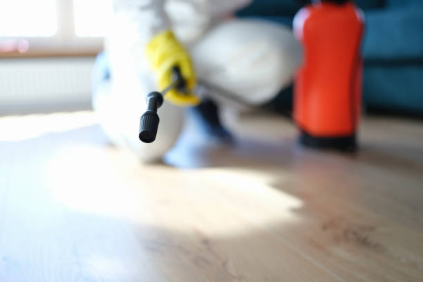 Best Water Damage & Mold Remediation  in Junction City, OR
